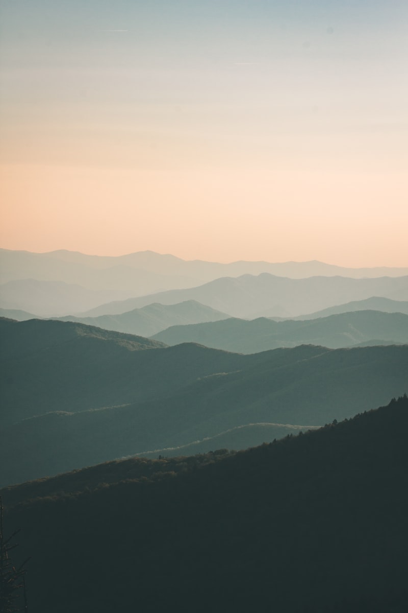 Environmental management and sustainability